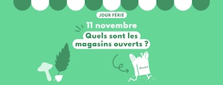 Quels sont les magasins ouverts le 11 novembre 2024 ?