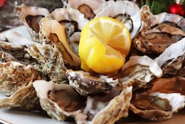 Fruits de mer : nos offres et promos pour un plateau festif