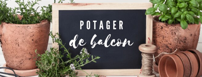 Jardiner en ville : que planter sur son balcon ? 