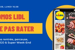 Promos Lidl : fournitures scolaire, perceuse, rosé, Barbie & LEGO