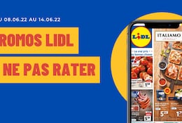 Offres Lidl à ne pas rater du 6 au 12 juin 2022 : promos, arrivages, nouveautés