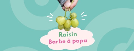 Jeune femme tenant une grappe de raisins barbe à papa.
