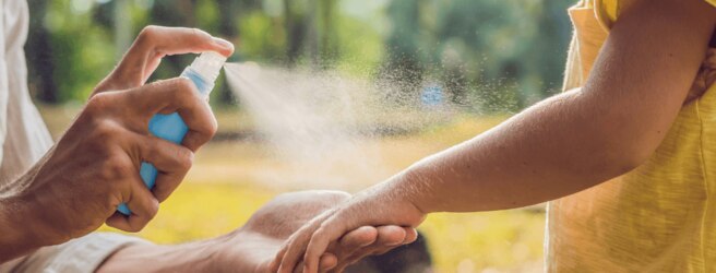 Les bons réflexes anti-moustiques pendant l'été