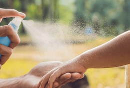 Les bons réflexes anti-moustiques pendant l'été