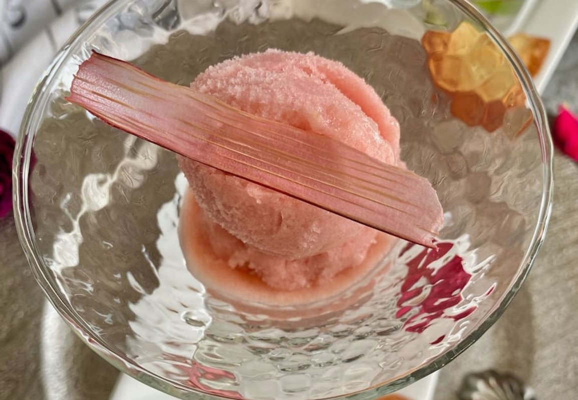 sorbet rhubarbe.jpg