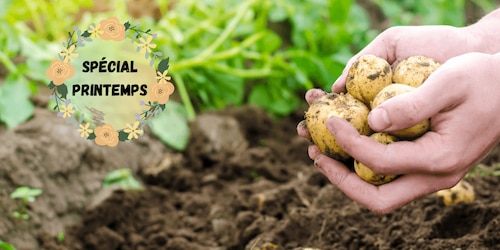 Que planter dans son potager au printemps