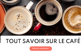 Tout savoir sur le café : machines à café, recettes, astuces DIY