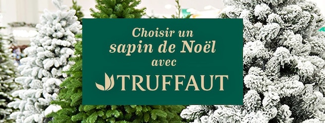 Comment bien choisir votre sapin avec Truffaut ? 