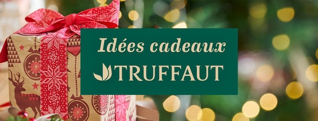 Des idées de cadeaux de Noël plein la hotte chez Truffaut